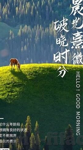 外围足球比分网-警惕外围足球比分网，远离非法赌博，守护个人财产与家庭幸福