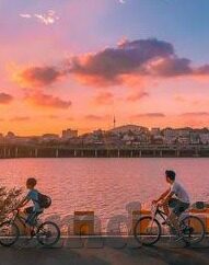 足球比分直播188比分-足球比分直播188比分，球迷的实时赛事信息港湾